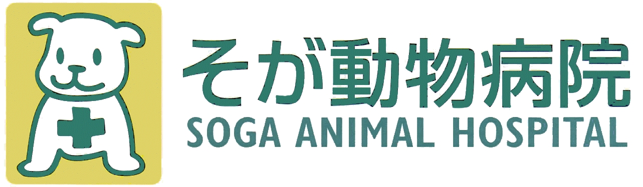 そが動物病院