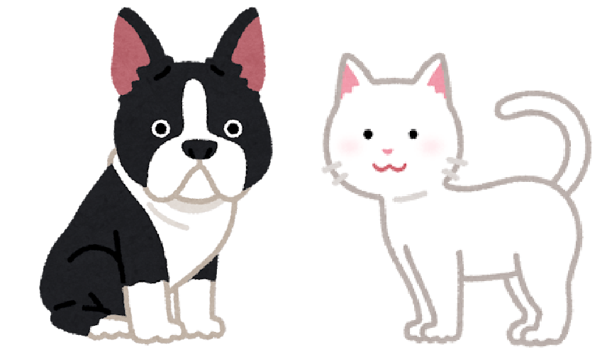 獣医師: 曽我 望