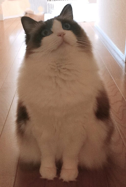 そが動物病院（神奈川県平塚市）